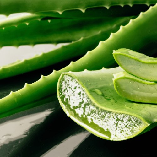 Extracto de Aloe Vera