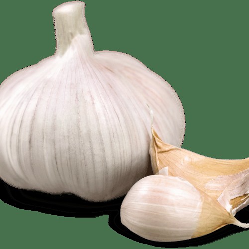 Extrato de Alho