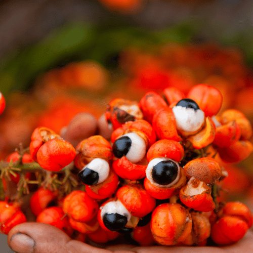 Guaranà
