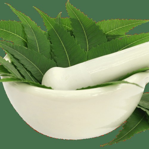 Neem